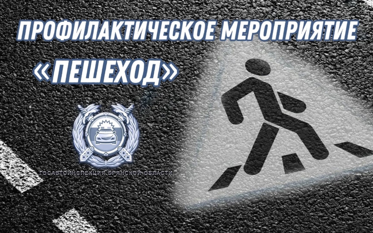 Профилактическое мероприятие «Пешеход»