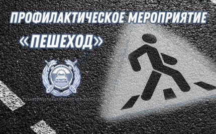 Профилактическое мероприятие «Пешеход»