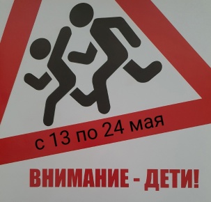 На территории Кировска и Апатитов стартовало областное оперативно-профилактическое мероприятие «Внимание-дети!»