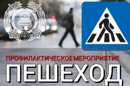 Профилактическое мероприятие «Пешеход»
