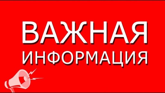 О размерах выплат опекуну (попечителю), приемному родителю